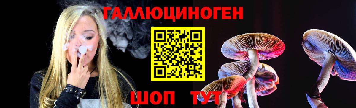 где купить наркотик  Галлюциногенные грибы мицелий  Псилоцибиновые грибы Magic Shrooms  Вход с VPN  Тихорецк 
